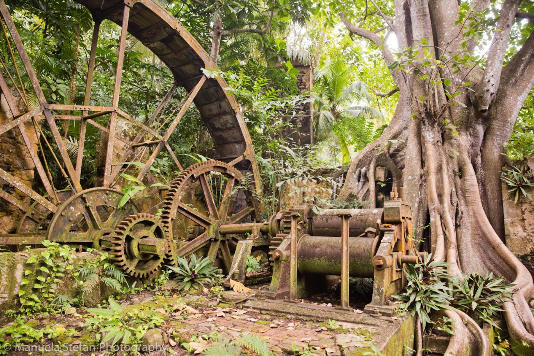 Balenbouche Estate Villa Laborie Exteriör bild